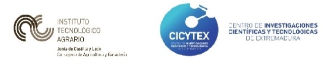itacyl cicytex